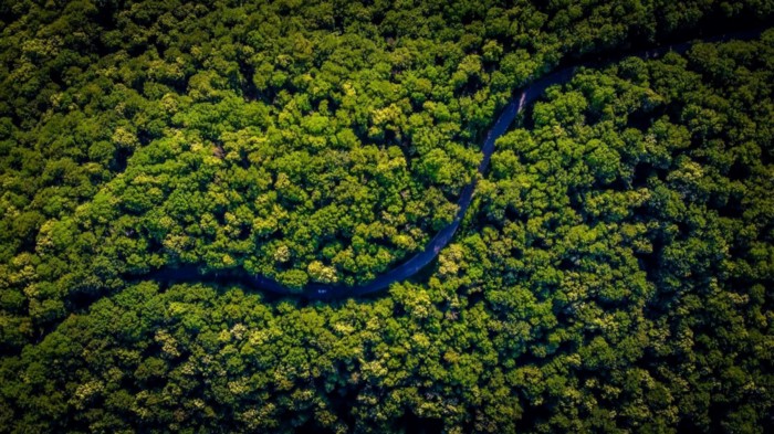 Deforestation, Cows, and Data Data Powered Positive Deviance Pilot in Ecuador’s Amazon