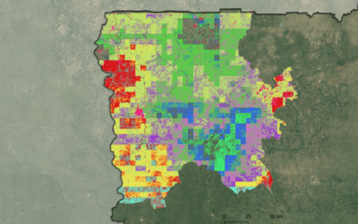 From Pixels to Preservation: Utilizing Remote Sensing to Identify Community Techniques to Save Tree Cover