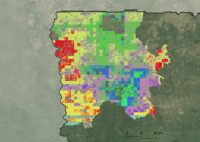 From Pixels to Preservation: Utilizing Remote Sensing to Identify Community Techniques to Save Tree Cover