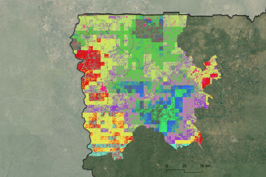 From Pixels to Preservation: Utilizing Remote Sensing to Identify Community Techniques to Save Tree Cover