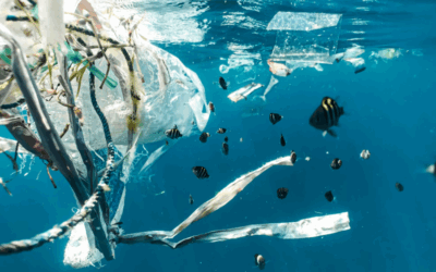 NegotiateAI: Smart Negotiations by leveraging AI for UN Negotiations on the international legally binding instrument on plastic pollution