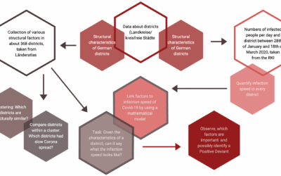 Positive Deviance: A Data-Powered Approach to the Covid-19 Response