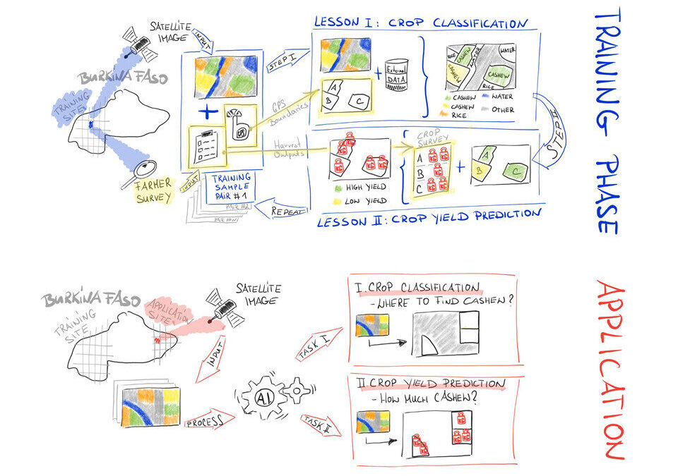 From outer space to the field: Insights from the AI Agriculture Experiment