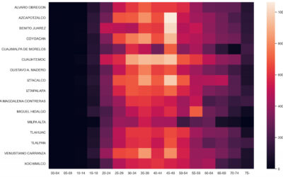 Using Data to Shed Light on the Shadow Pandemic of Domestic Violence in Mexico
