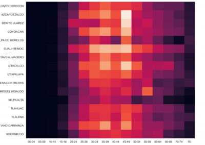 Using Data to Shed Light on the Shadow Pandemic of Domestic Violence in Mexico