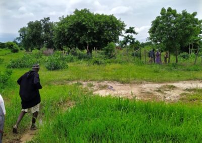 Exploring Scalable Practices Towards Tree Conservation: Results from a Data Powered Positive Deviance Study in Northern Ghana