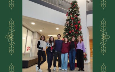 Season’s Greetings from the GIZ Data Lab 2025