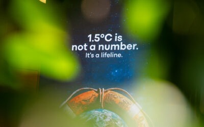 NegotiateCOP at SB64 – UNFCCC June Climate Talks