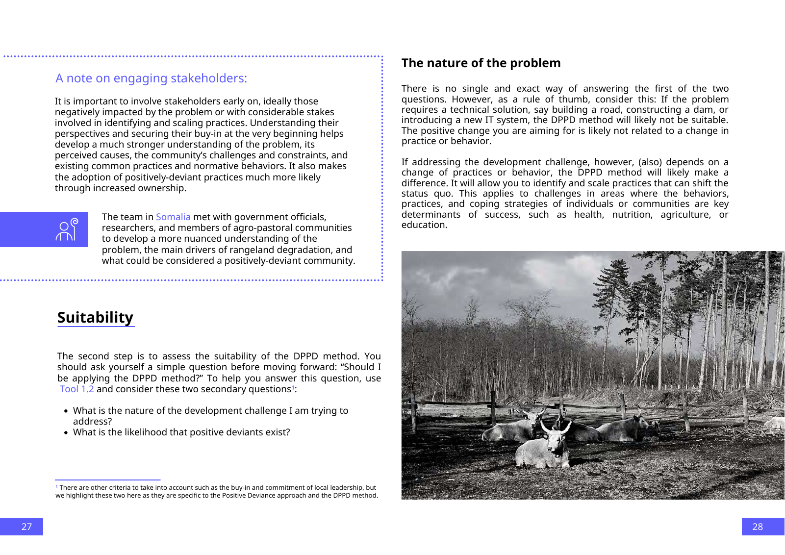 Vorschau DPPD Handbook Seite 15