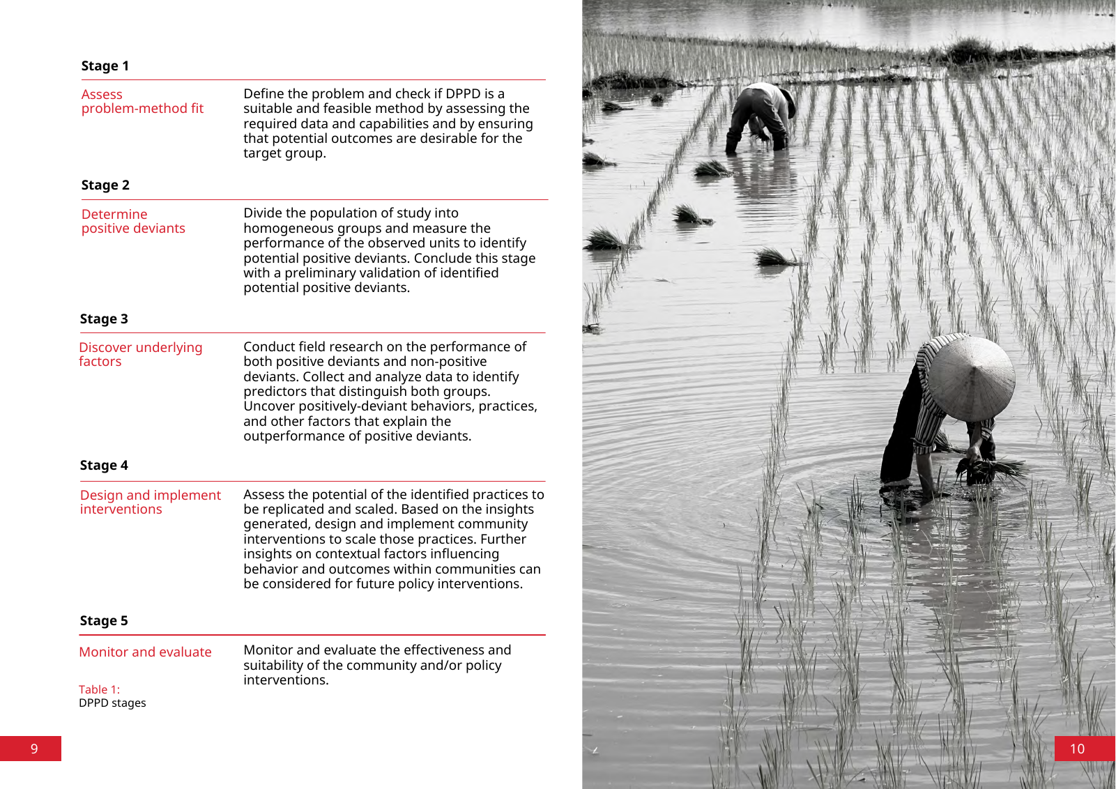 Vorschau DPPD Handbook Seite 6