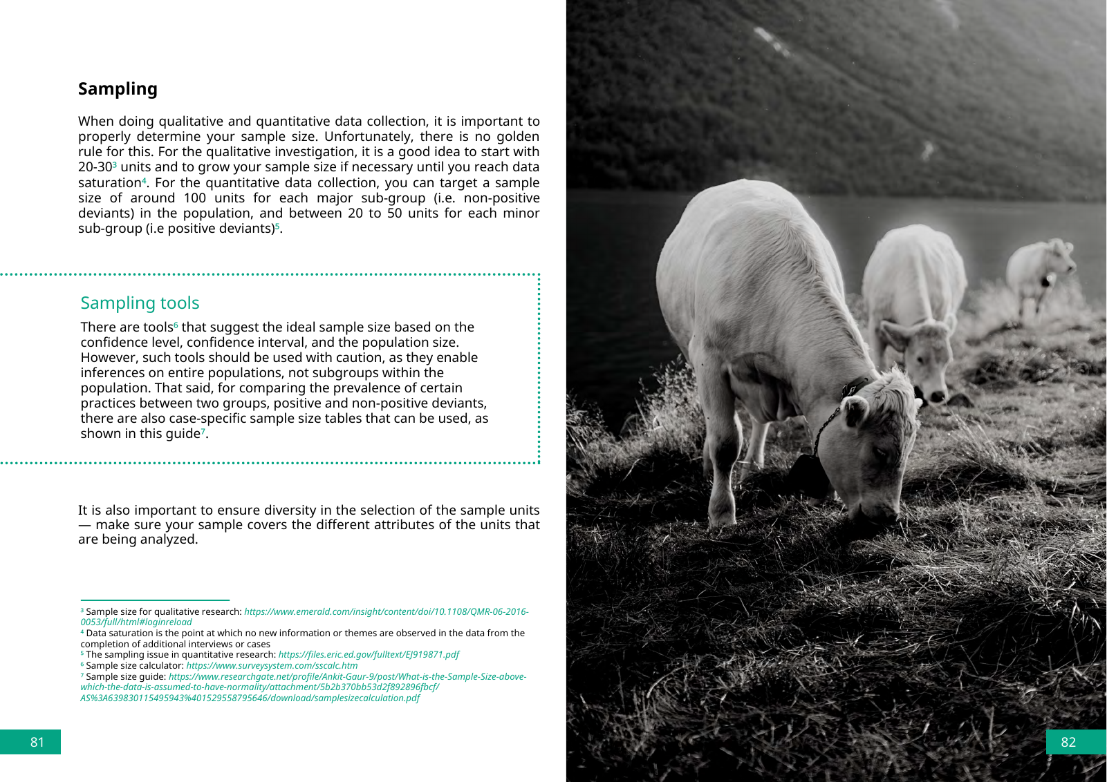 Vorschau DPPD Handbook Seite 42